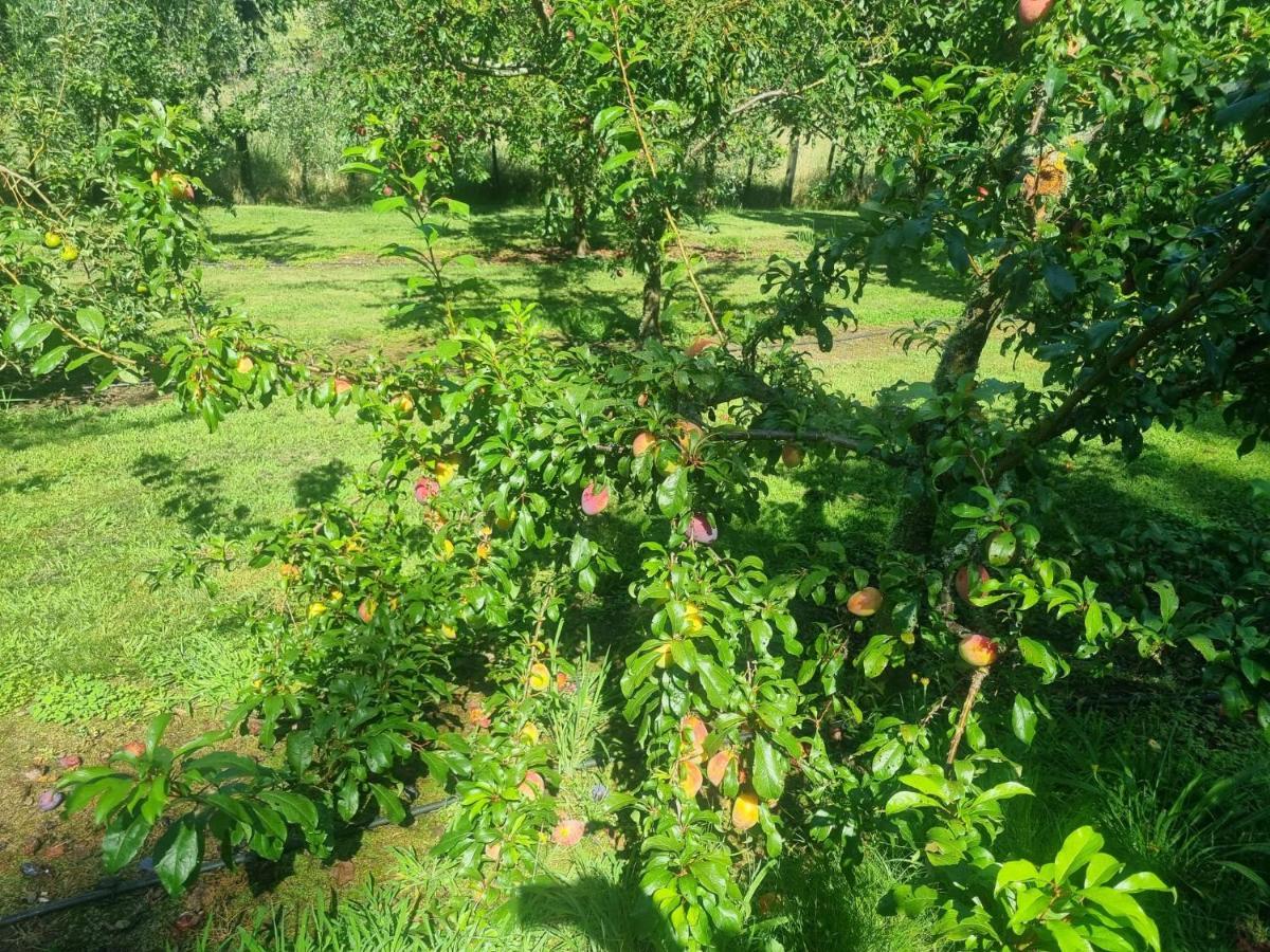 Poukawa Savana Estate מראה חיצוני תמונה
